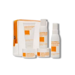 About Face Dry Skin Kit